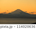 湘南から見た夕焼けの情景　富士山 114020636