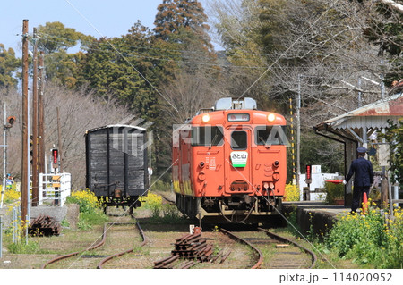 菜の花に囲まれた小湊鉄道　キハ40 114020952