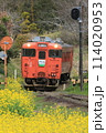 菜の花に囲まれた小湊鉄道　キハ40 114020953