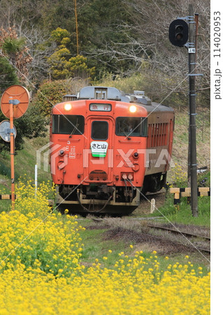 菜の花に囲まれた小湊鉄道　キハ40 114020953