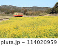 菜の花畑を走る小湊鉄道　石神菜の花畑 114020959