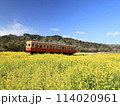 菜の花畑を走る小湊鉄道　石神菜の花畑 114020961