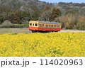 菜の花畑を走る小湊鉄道　石神菜の花畑 114020963