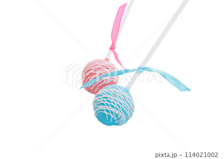 cake-pop candy isolated on the white 114021002