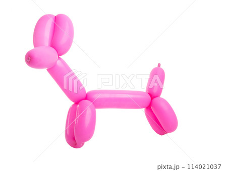 balloon dog isolated on the white balloon dog isolated on the white 114021037