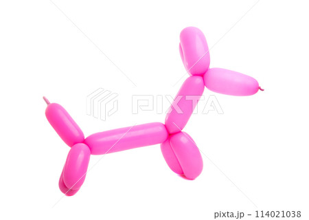balloon dog isolated on the white 114021038