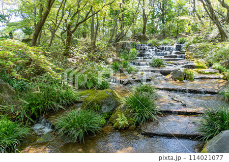 兵庫県姫路市　姫路城西御屋敷跡庭園の好古園の流れのある庭 114021077