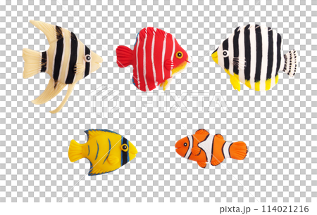 5 種熱帶魚組(黏土 3D 插圖) 5 種熱帶魚組(黏土 3D 插圖) 114021216