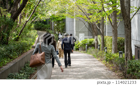 木漏れ日が注ぐ歩道をセミナー会場に向かって歩く人々 木漏れ日が注ぐ歩道をセミナー会場に向かって歩く人々 114021233
