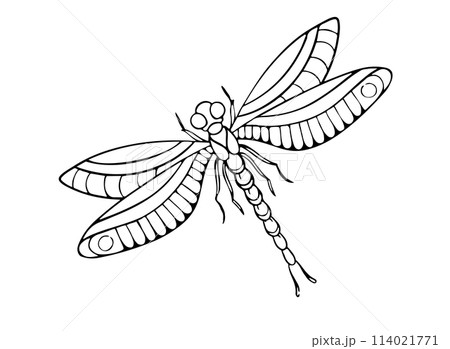 On an white background is there an Fire dragonfly for illutrator On an white background is there an Fire dragonfly for illutrator 114021771