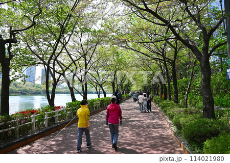 蚕室石村湖畔の散策・運動コース【韓国ソウル】 114021980