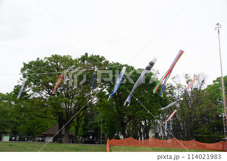 世田谷公園 114021983