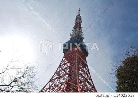 東京 東京 114022018