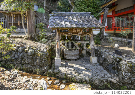 松尾大社　亀の井・神泉 114022205