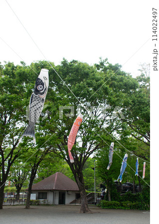 世田谷公園 114022497