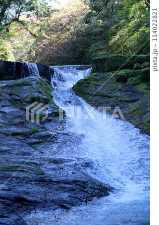 秋の菊池渓谷　四十三万滝 114022821