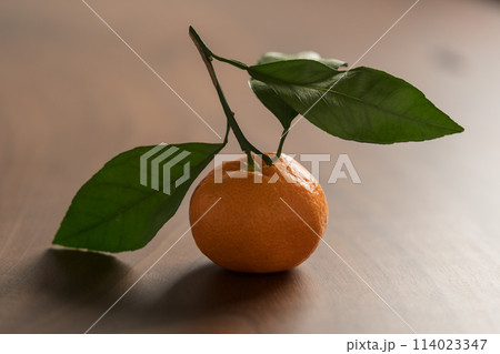 Small organic tangerine with leaves on wood table Small organic tangerine with leaves on wood table 114023347