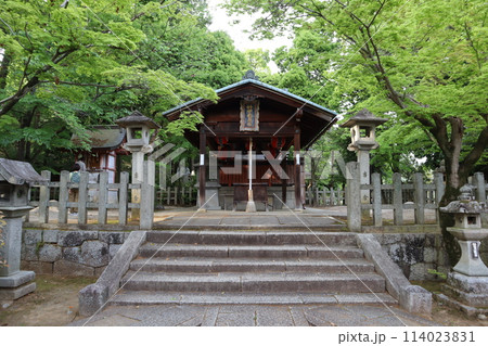 神社 神社 114023831