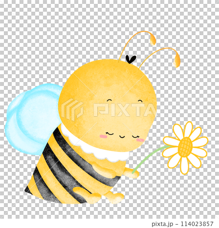 bee 114023857
