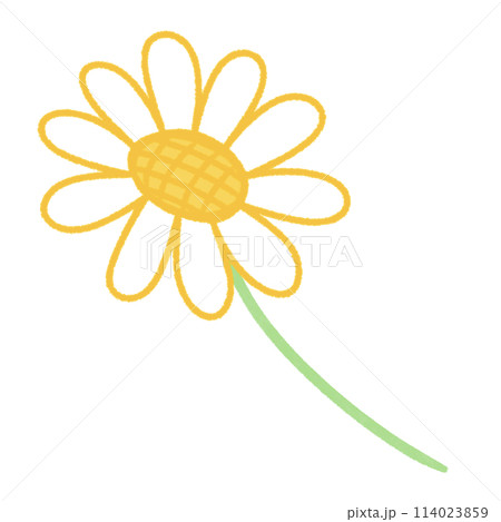 bee 114023859