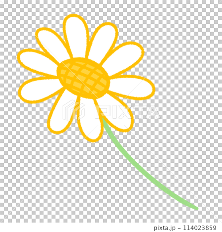 bee 114023859