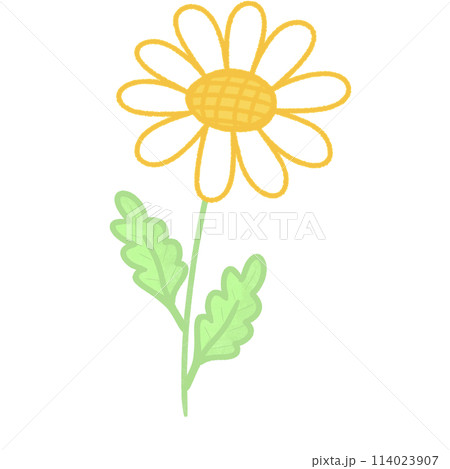 bee 114023907