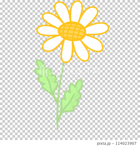 bee 114023907