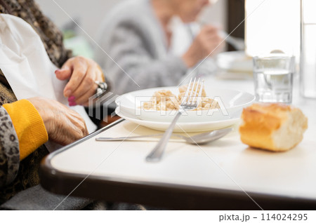 Close up of an elderly woman having lunch at retirement home. 114024295