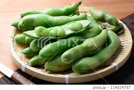 そらまめ 114024787