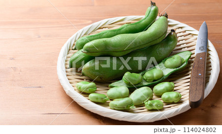 そらまめ 114024802