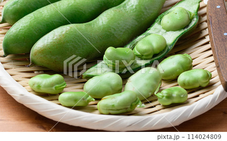 そらまめ 114024809