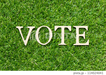 Wood letter in word vote on green grass background 114024841