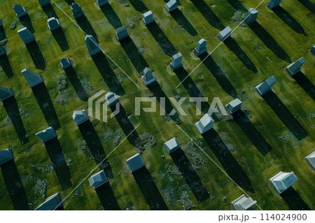 Aerial View of Cemetery Headstones and Grass with Long Shadows 114024900