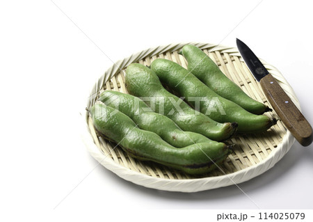 そらまめ (白背景) そらまめ (白背景) 114025079