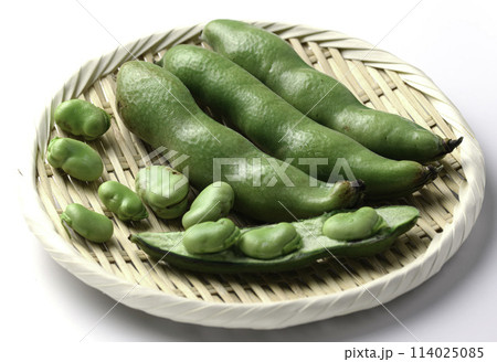 そらまめ (白背景) そらまめ (白背景) 114025085