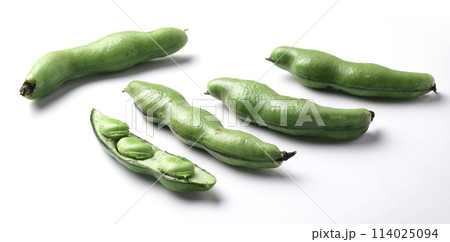 そらまめ （白背景） 114025094