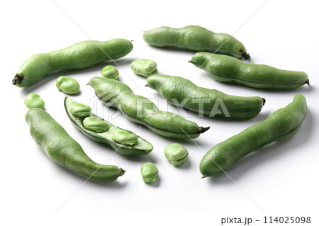 そらまめ （白背景） 114025098