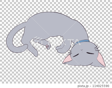 可愛的貓姿勢 114025590