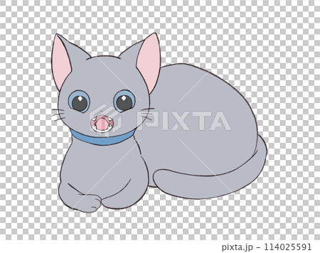 可愛的貓姿勢 114025591