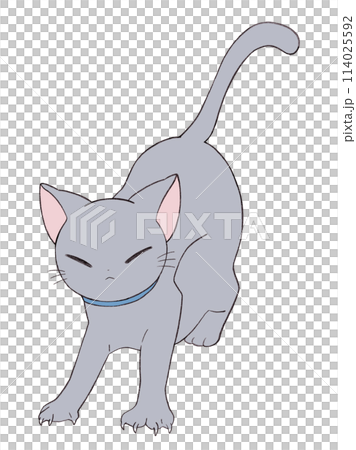 可愛的貓姿勢 114025592