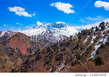 Beldersay mountain in Chimgan region, Uzbekistan 114025876
