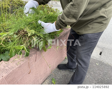 ガーデニング 114025892