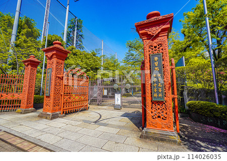 学習院女子大学 114026035