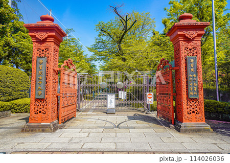 学習院女子大学 114026036