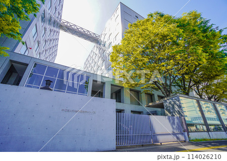 早稲田大学 理工学術院 114026210