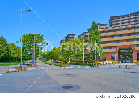 春の東京都稲城市若葉台2丁目の若葉台西交差点付近から北西側の3丁目方面を見る 114026290