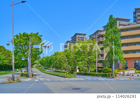 春の東京都稲城市若葉台2丁目の若葉台駅西交差点付近から北西側の3丁目方面を見る 114026291