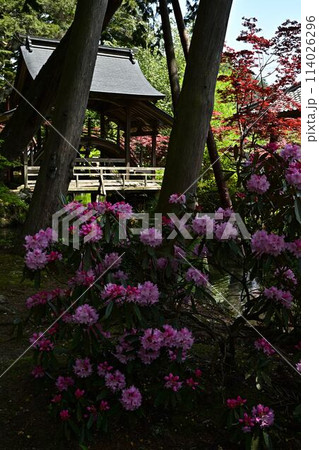 白毫寺の庭園 114026296