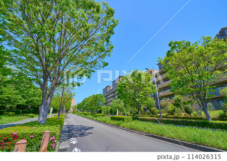 春の東京都稲城市若葉台3丁目の四ツ尾沢緑地付近の若葉台三丁目バス停から若葉台中央通りの北西方面を見る 114026315