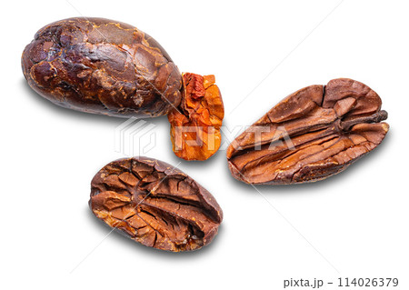 Top view of dry roasted cacao nibs isolated on white background. 114026379